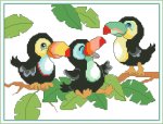 Baby Toucans (image for) Baby Toucans